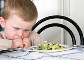 Pressuring Children to Eat: Winning the Battle, Losing the War