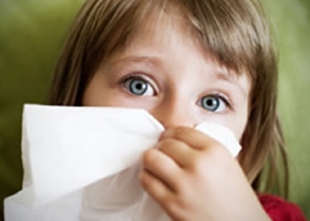The 411 On Allergies