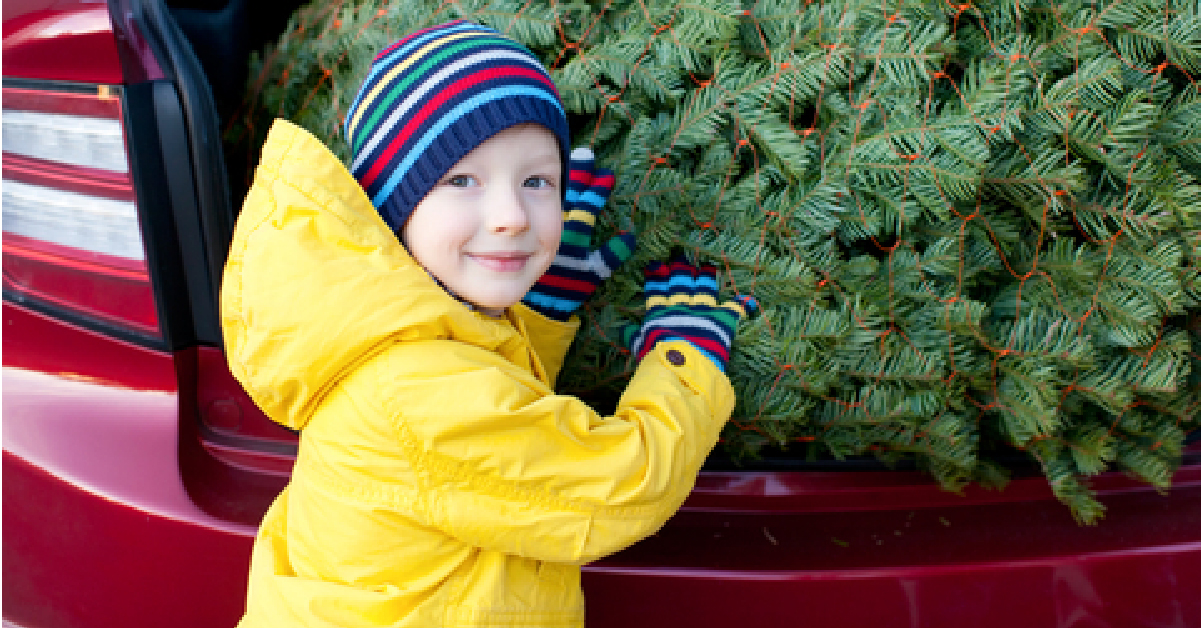 Christmas trees can wreck havoc for allergy sufferers Utah Valley