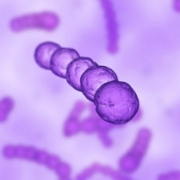 Study Shows that Bacteria Can Survive on Objects Longer than Formerly Believed
