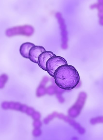 Study Shows that Bacteria Can Survive on Objects Longer than Formerly Believed