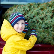 Christmas trees can wreck havoc for allergy sufferers