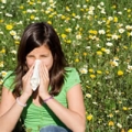 Hay Fever Symptoms and Treatment