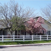 Orem – Cherry Tree