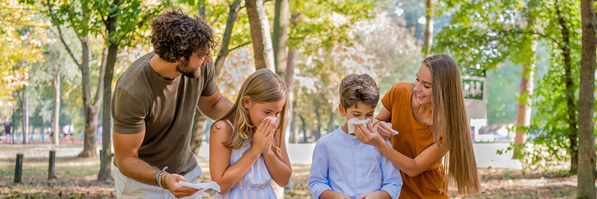 Hay Fever Symptoms and Treatment