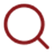 icon magnify