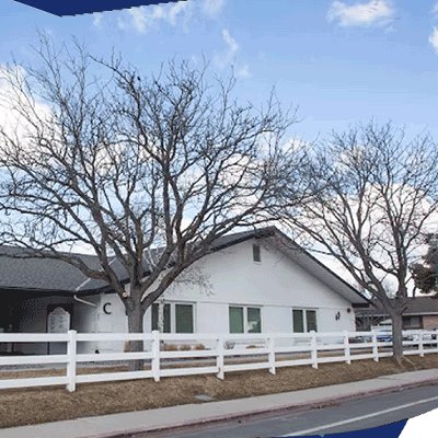 Orem Cherry Tree office